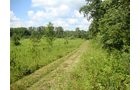 Property photo 6 - AUCTION CANCELLED TONIGHT!! SOLD Prior to Auction! 84+/- Acres Offered in 4 Tracts